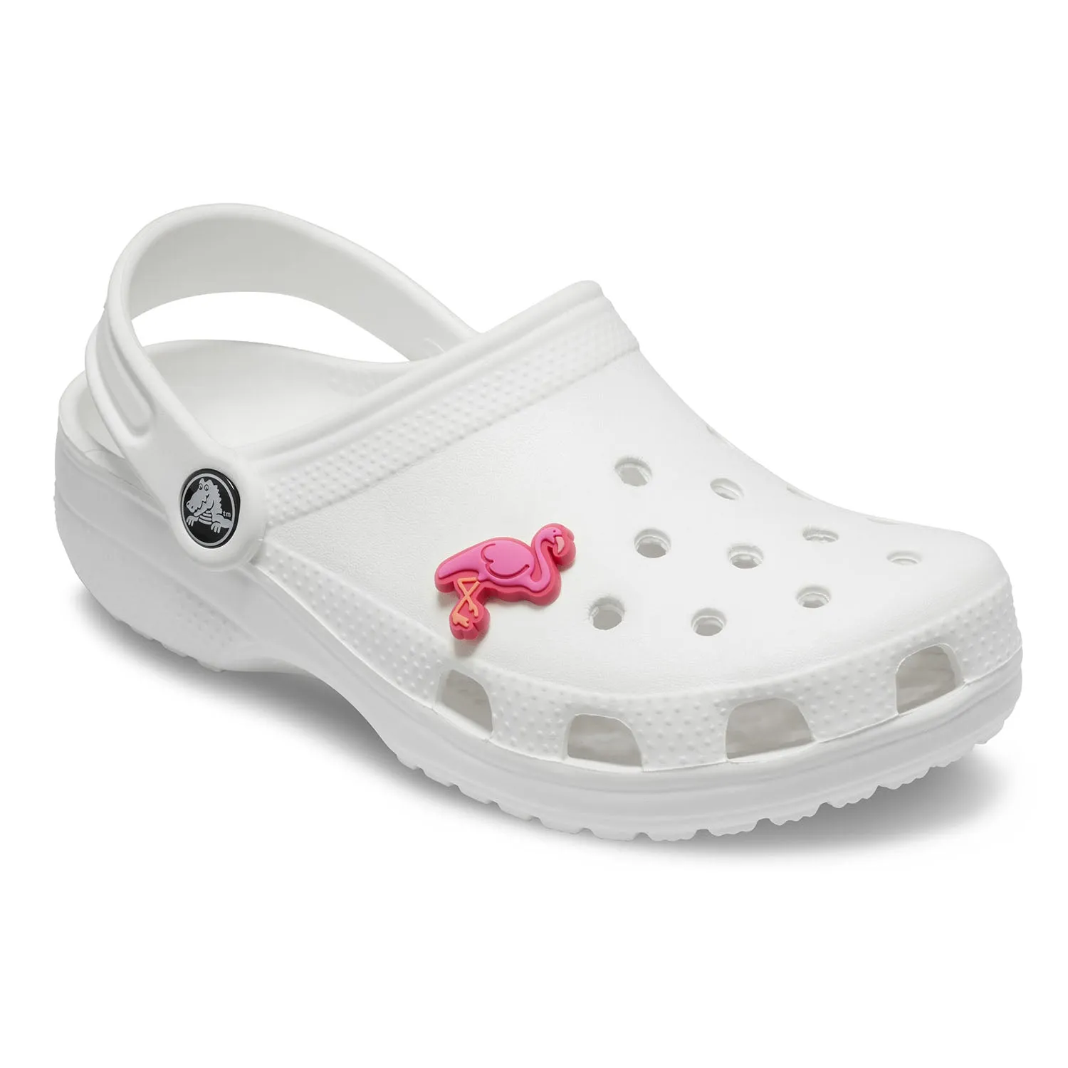 Flamingo™ Jibbitz
